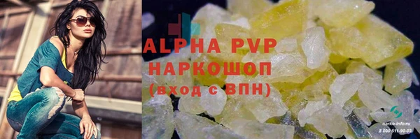 прущие грибы Богданович