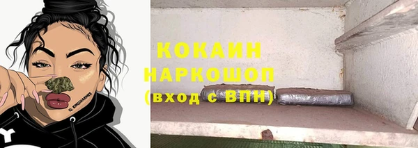 прущие грибы Богданович