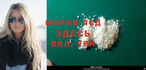 прущие грибы Богданович