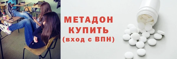 прущие грибы Богданович