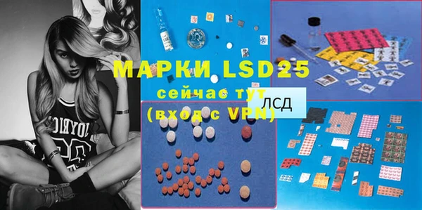 прущие грибы Богданович