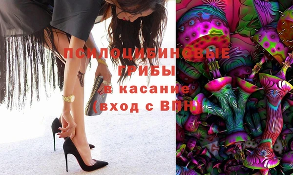 прущие грибы Богданович
