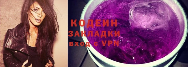 прущие грибы Богданович