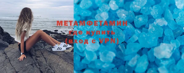 прущие грибы Богданович