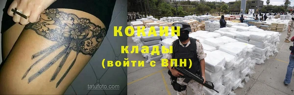 ГАЛЛЮЦИНОГЕННЫЕ ГРИБЫ Богородицк