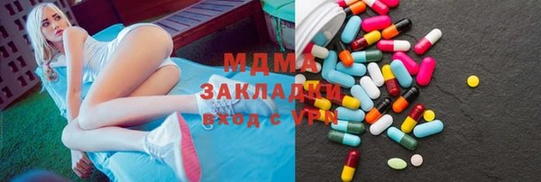 прущие грибы Богданович